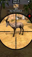 Animal Shooting