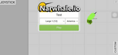 Narwhale.io : Multiplayer