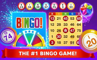 Bingo Star