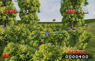 Bird Race 3D