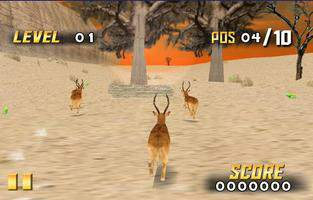 Savanna Race