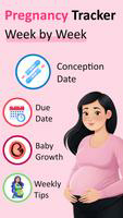 Pregnancy Tracker & Calculator