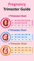 Pregnancy Tracker & Calculator