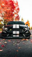 Ford Mustang Wallpapers