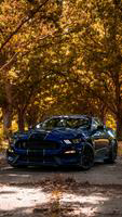 Ford Mustang Wallpapers