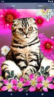 Cute Cats Live Wallpaper