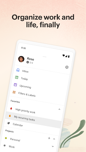 Todoist