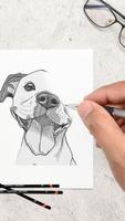 Learn To Draw Dogs