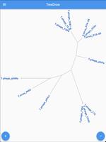 Phylogenetic Tree View