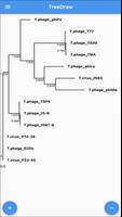 Phylogenetic Tree View