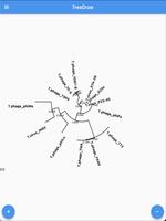 Phylogenetic Tree View