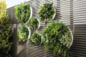 Vertical Garden