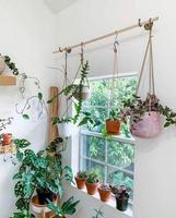 House Plant Decor