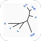 Phylogenetic Tree View