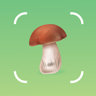 Mushroom Identifier