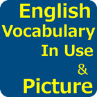 English Vocabulary