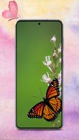 butterfly wallpapers