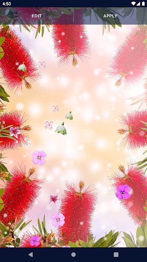 Spring Flower Live Wallpaper