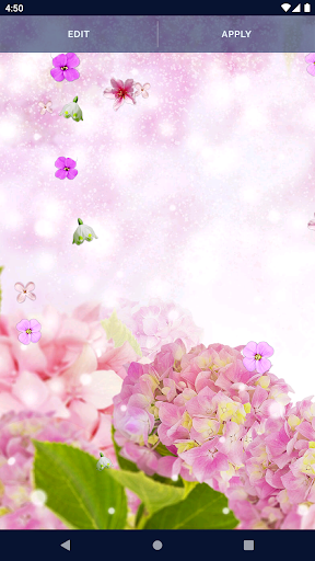 Spring Flower Live Wallpaper