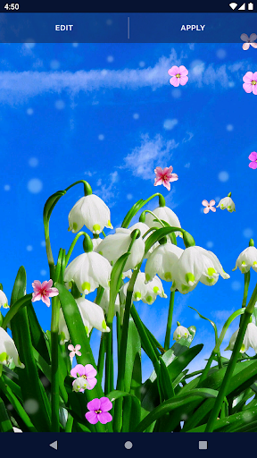 Spring Flower Live Wallpaper