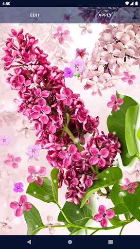 Spring Flower Live Wallpaper