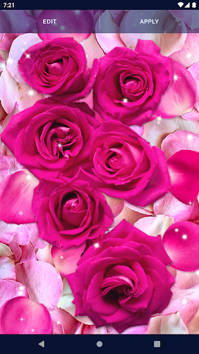 Flower Petals Live Wallpaper