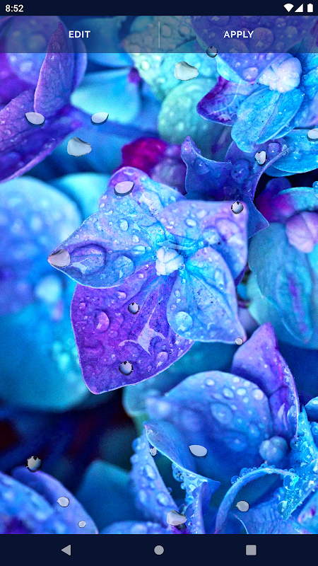 Water RainDrops Live Wallpaper