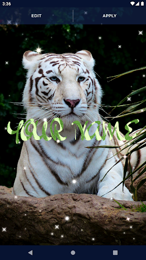 Tiger Live Wallpapers