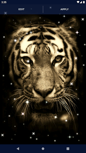 Tiger Live Wallpapers