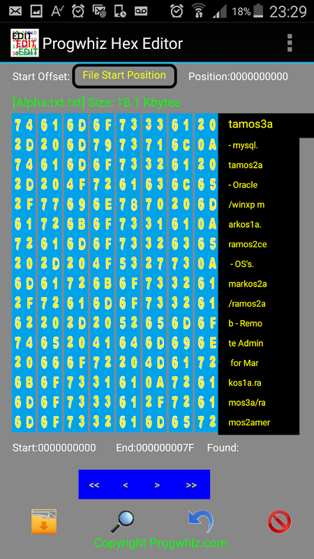 Progwhiz Hex Editor